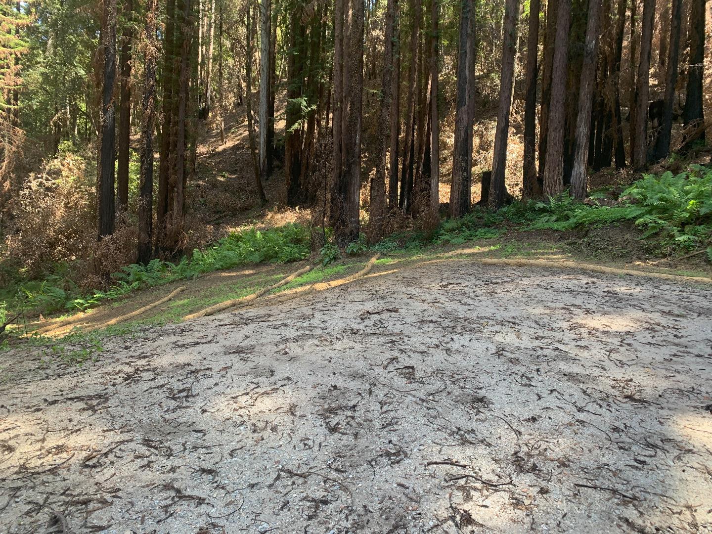 570 Willow Avenue, BOULDER CREEK, California 95006, ,Lots And Land,For Sale,Willow Avenue,40965036