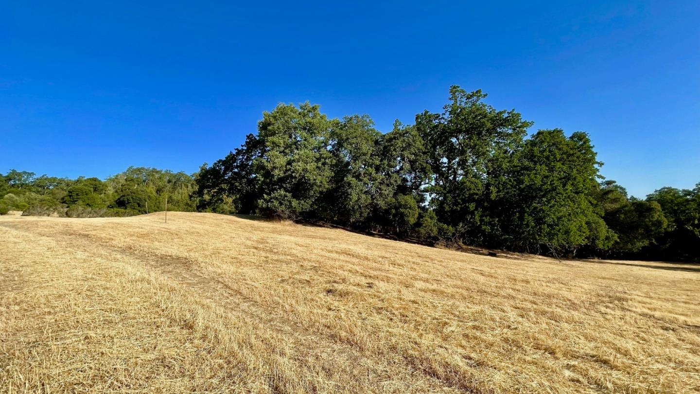9 Buck Meadow Drive, PORTOLA VALLEY, California 94028, ,Lots And Land,For Sale,Buck Meadow Drive,40965038