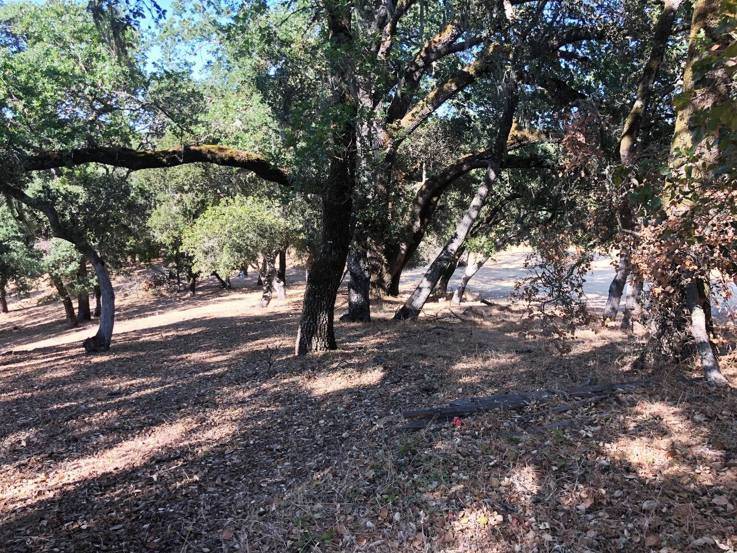 9 Buck Meadow Drive, PORTOLA VALLEY, California 94028, ,Lots And Land,For Sale,Buck Meadow Drive,40965038