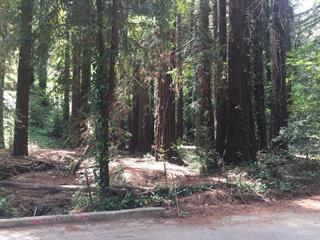 0 Grove Road, LOS GATOS, California 95033, ,Lots And Land,For Sale,Grove Road,40965048