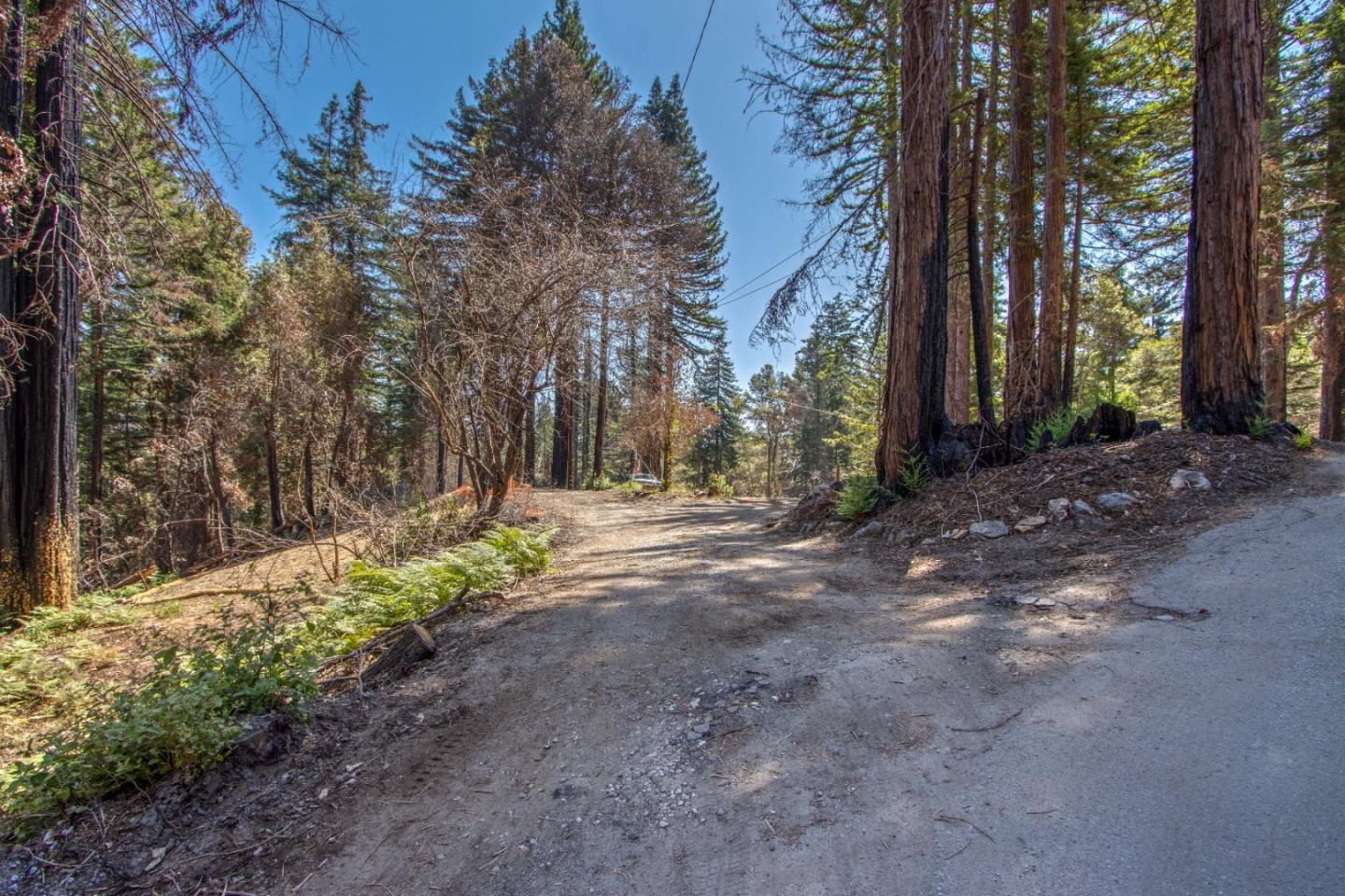 111 Aspen Lane, BOULDER CREEK, California 95006, ,Lots And Land,For Sale,Aspen Lane,40965058