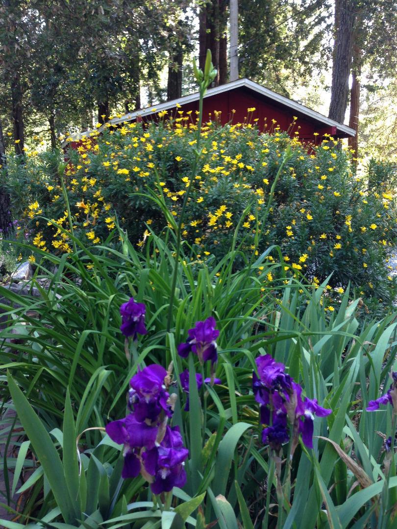 111 Aspen Lane, BOULDER CREEK, California 95006, ,Lots And Land,For Sale,Aspen Lane,40965058