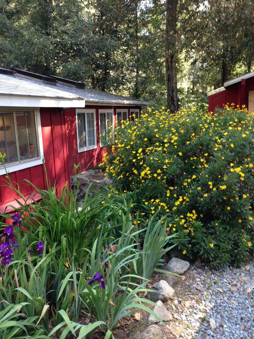 111 Aspen Lane, BOULDER CREEK, California 95006, ,Lots And Land,For Sale,Aspen Lane,40965058