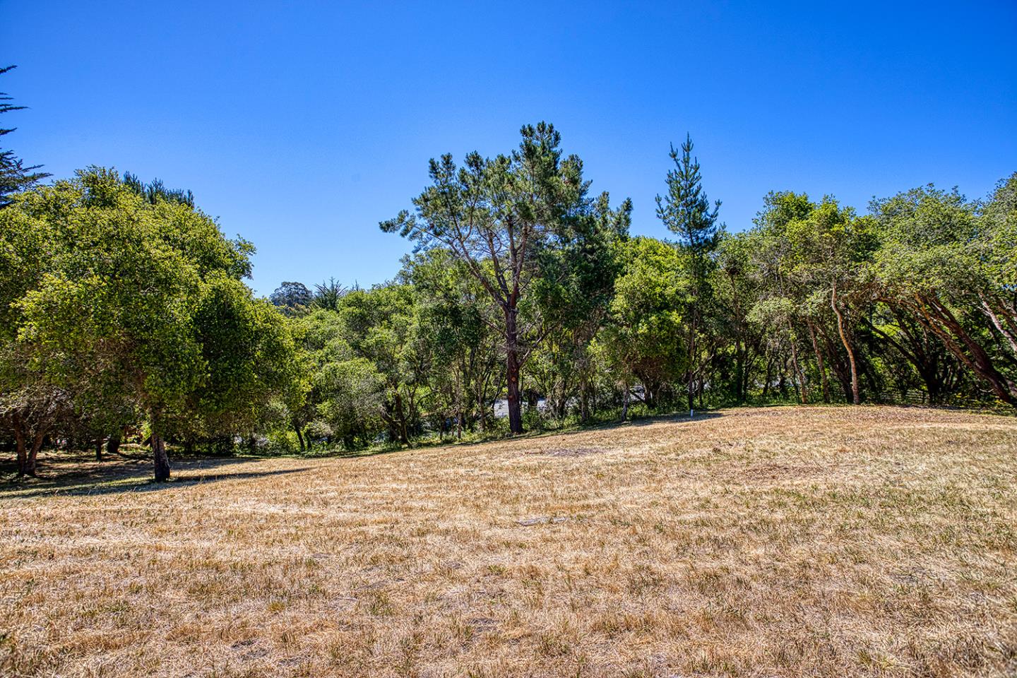 9757 Monroe Avenue, APTOS, California 95003, ,Lots And Land,For Sale,Monroe Avenue,40965059