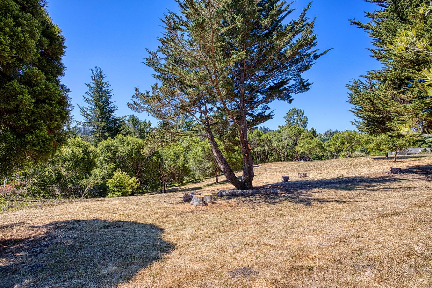 9757 Monroe Avenue, APTOS, California 95003, ,Lots And Land,For Sale,Monroe Avenue,40965059