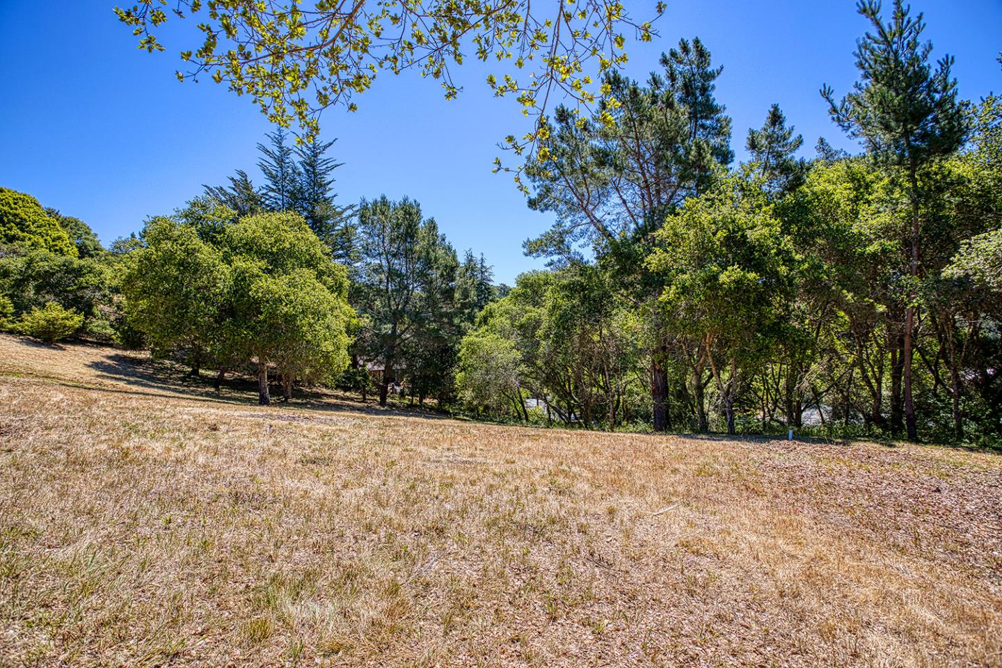 9757 Monroe Avenue, APTOS, California 95003, ,Lots And Land,For Sale,Monroe Avenue,40965059