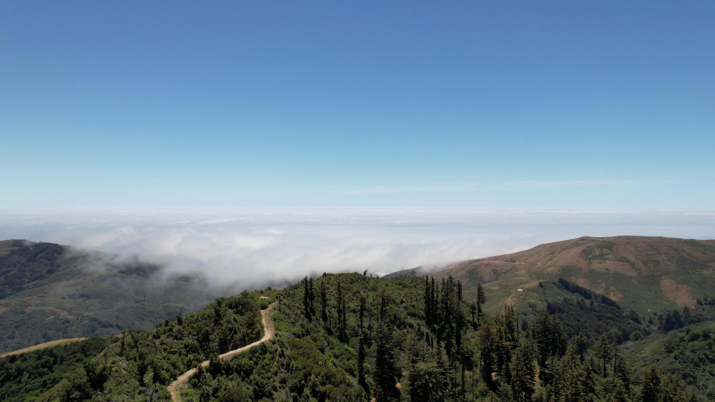 41465 Coast Road, BIG SUR, California 93920, ,Lots And Land,For Sale,Coast Road,40965063