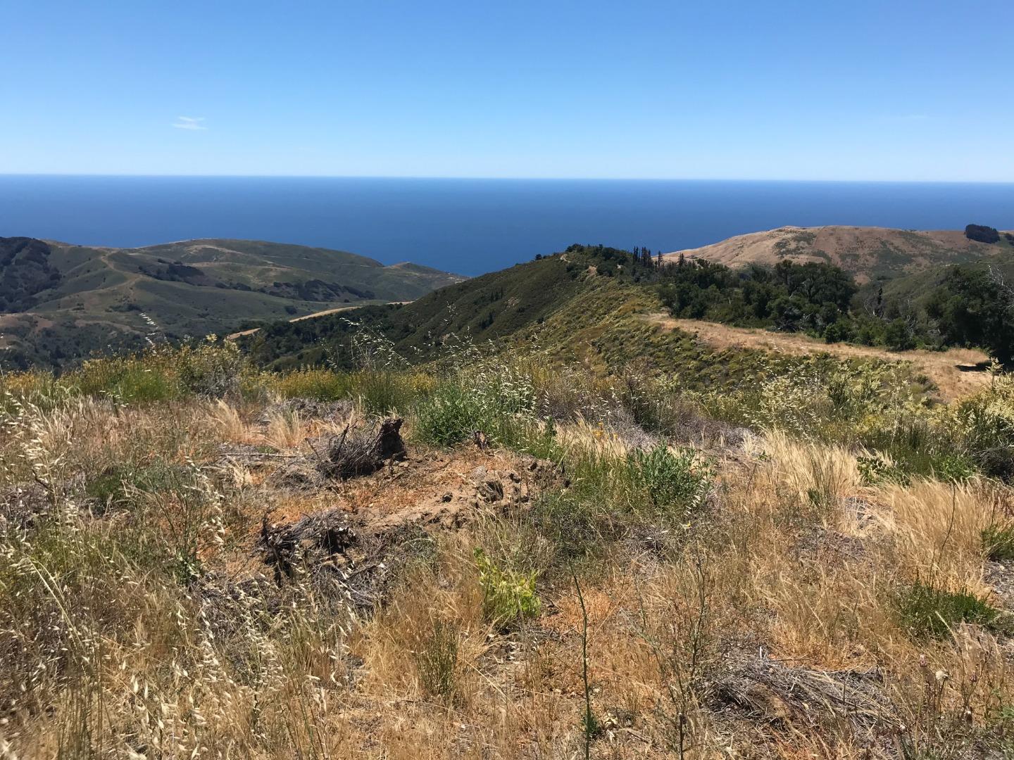 41465 Coast Road, BIG SUR, California 93920, ,Lots And Land,For Sale,Coast Road,40965063