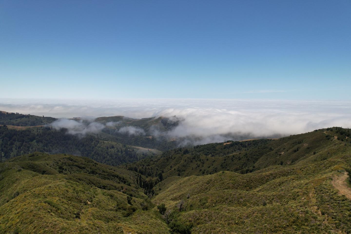 41465 Coast Road, BIG SUR, California 93920, ,Lots And Land,For Sale,Coast Road,40965063