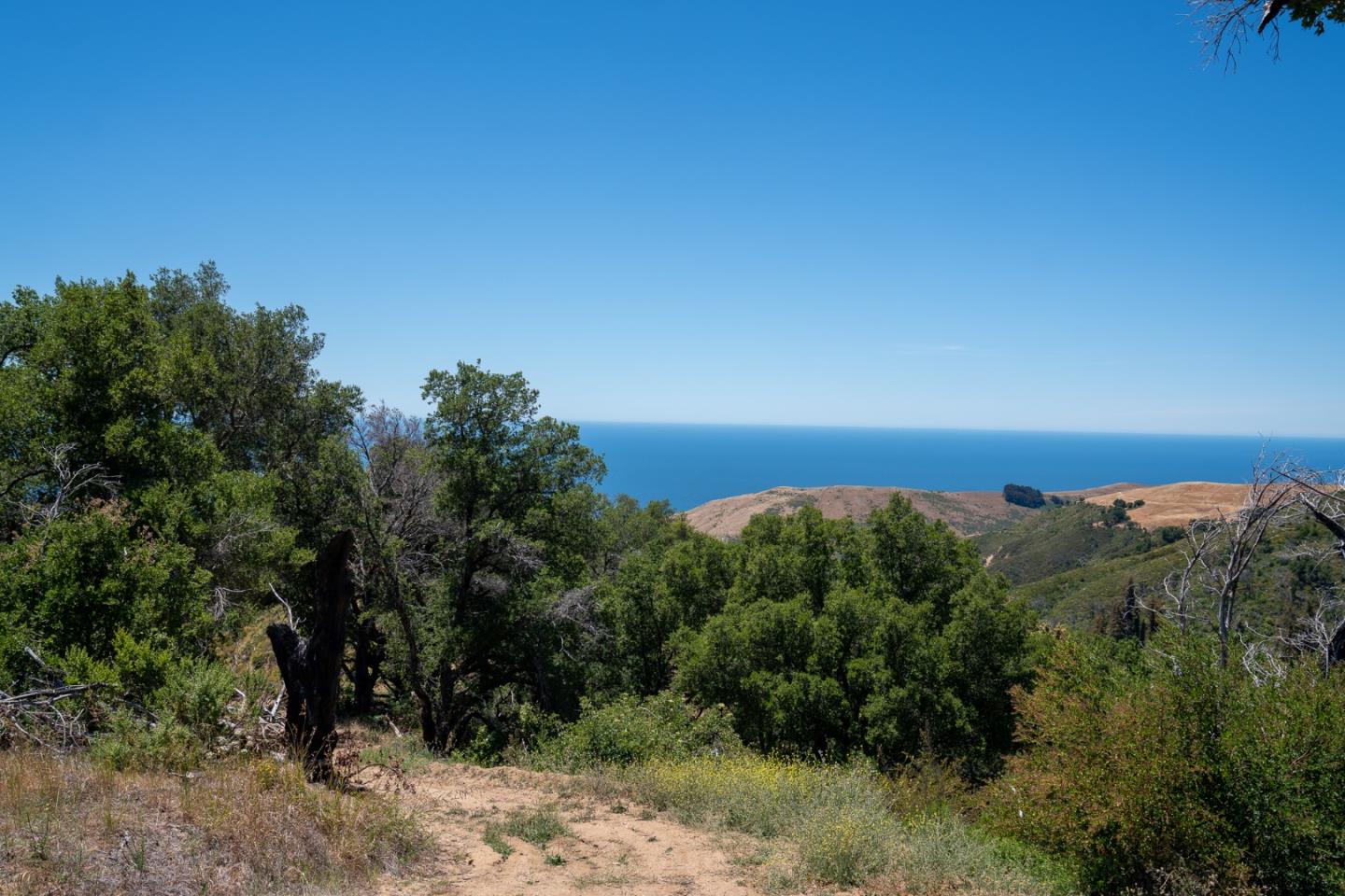 41465 Coast Road, BIG SUR, California 93920, ,Lots And Land,For Sale,Coast Road,40965063