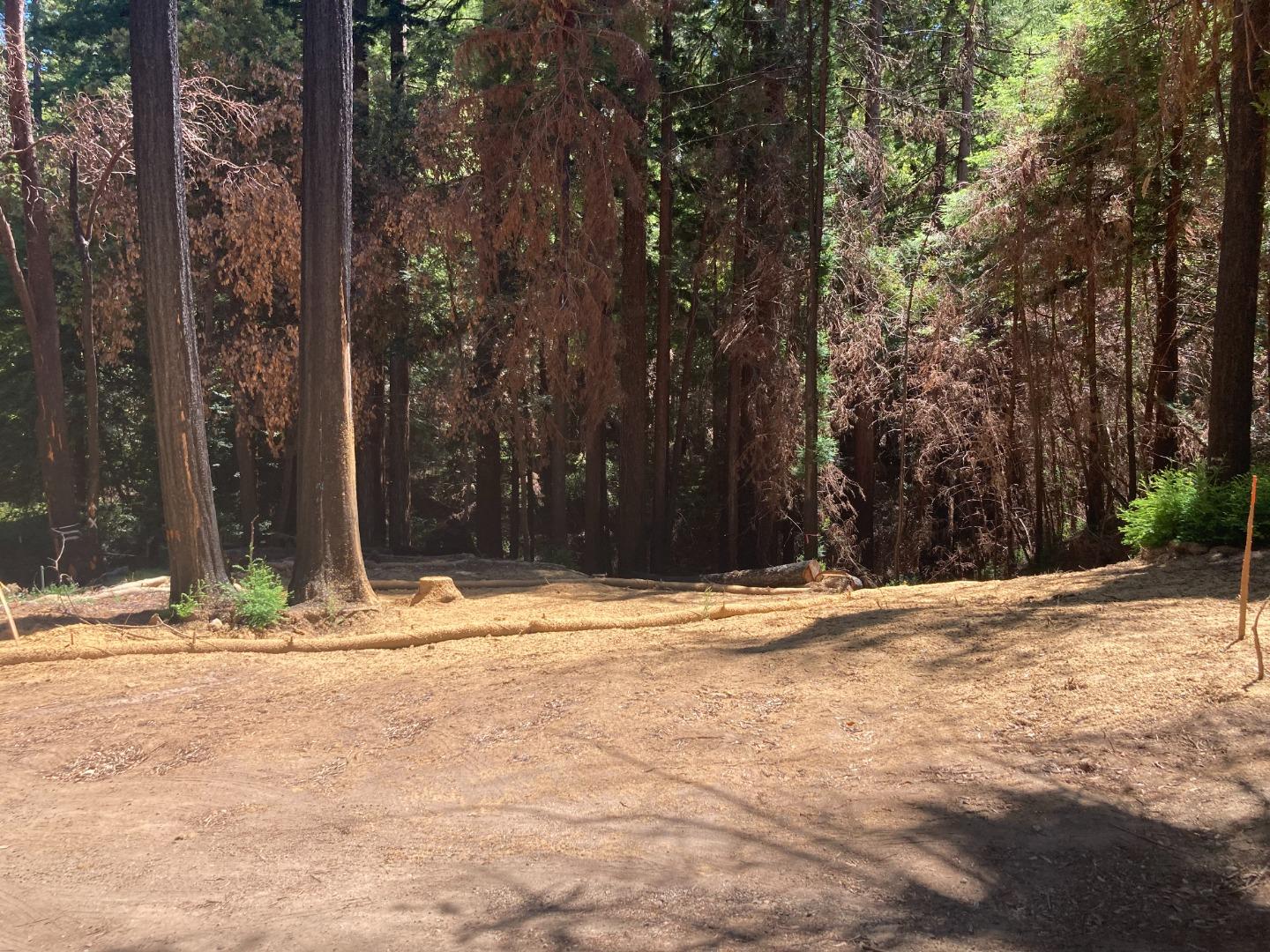 955 Creek Drive, BOULDER CREEK, California 95006, ,Lots And Land,For Sale,Creek Drive,40965085