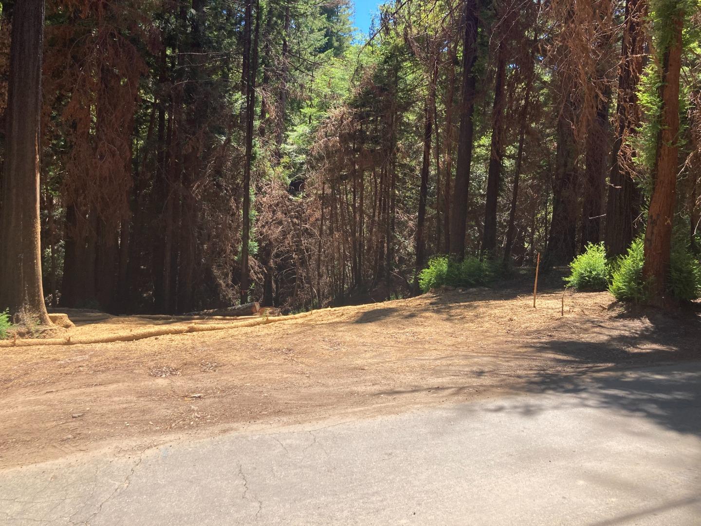 955 Creek Drive, BOULDER CREEK, California 95006, ,Lots And Land,For Sale,Creek Drive,40965085
