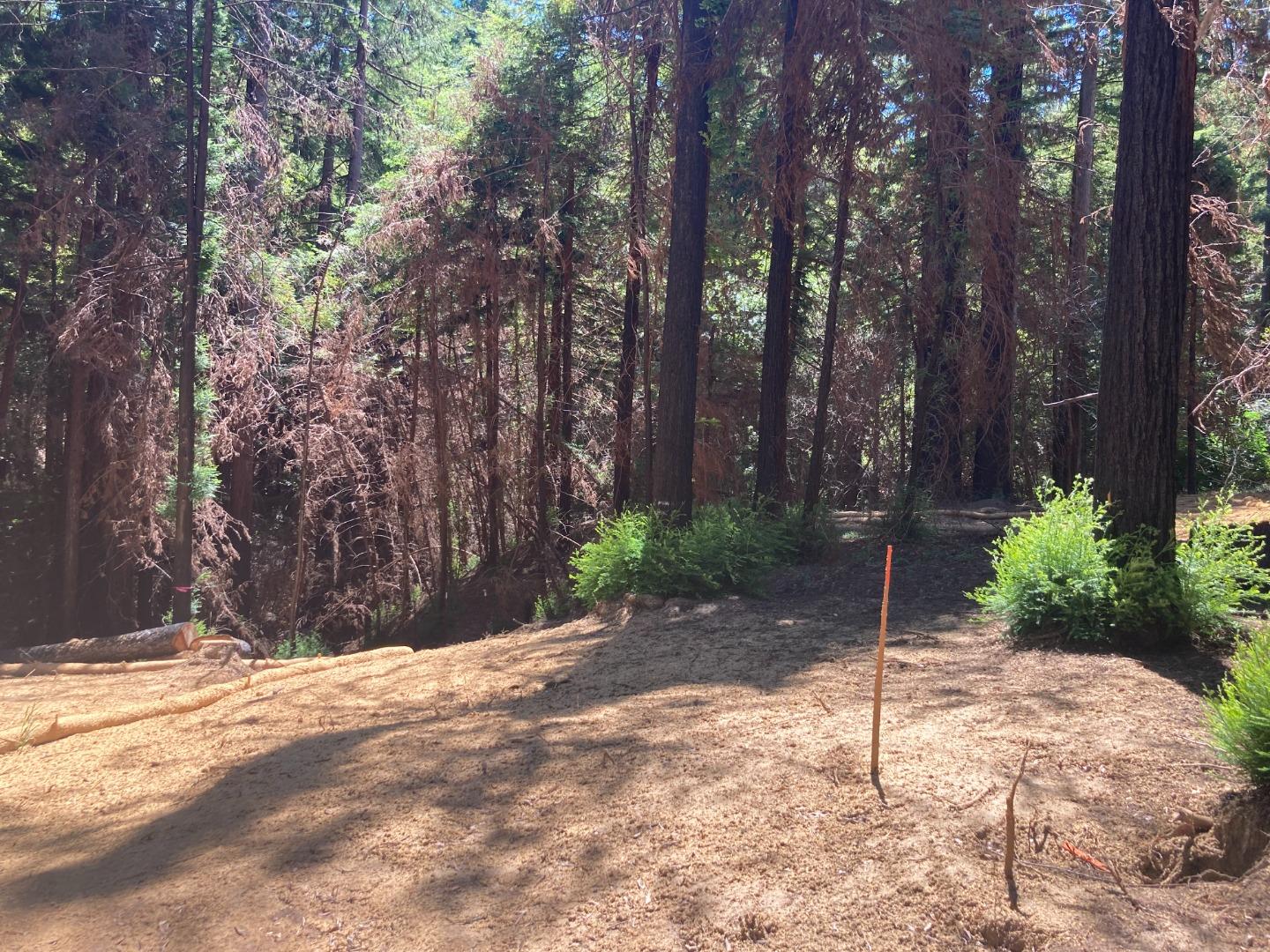 955 Creek Drive, BOULDER CREEK, California 95006, ,Lots And Land,For Sale,Creek Drive,40965085