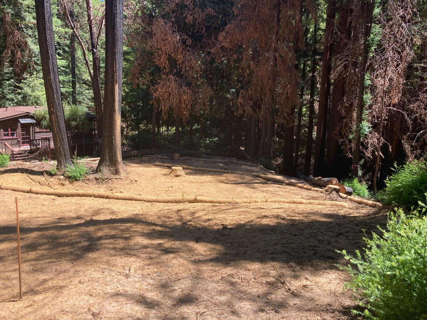 955 Creek Drive, BOULDER CREEK, California 95006, ,Lots And Land,For Sale,Creek Drive,40965085
