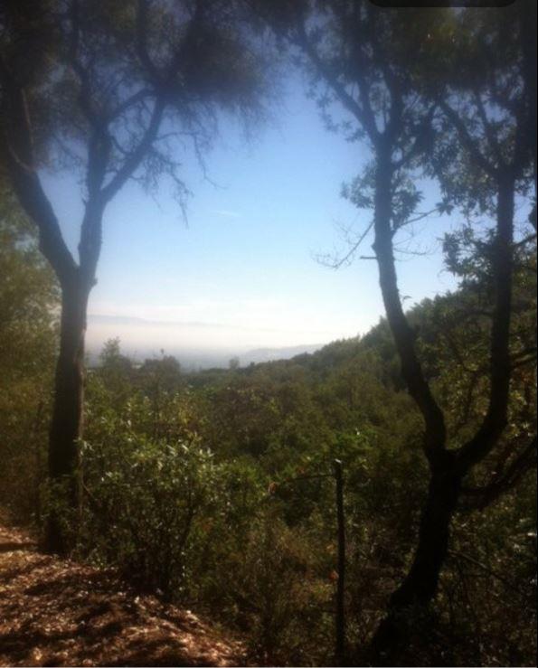 0 Little Brook, LOS GATOS, California 95030, ,Lots And Land,For Sale,Little Brook,40965096