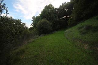 22315 Regnart Road, CUPERTINO, California 95014, ,Lots And Land,For Sale,Regnart Road,40965110