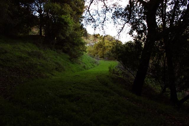 22315 Regnart Road, CUPERTINO, California 95014, ,Lots And Land,For Sale,Regnart Road,40965110