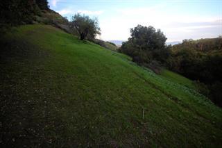 22315 Regnart Road, CUPERTINO, California 95014, ,Lots And Land,For Sale,Regnart Road,40965110