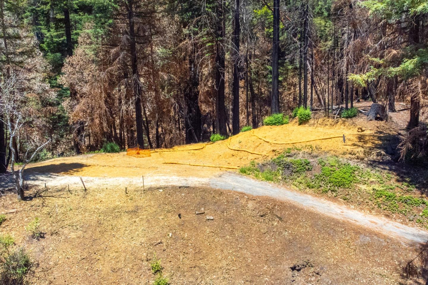 825 Kings Highway, BOULDER CREEK, California 95006, ,Lots And Land,For Sale,Kings Highway,40965112