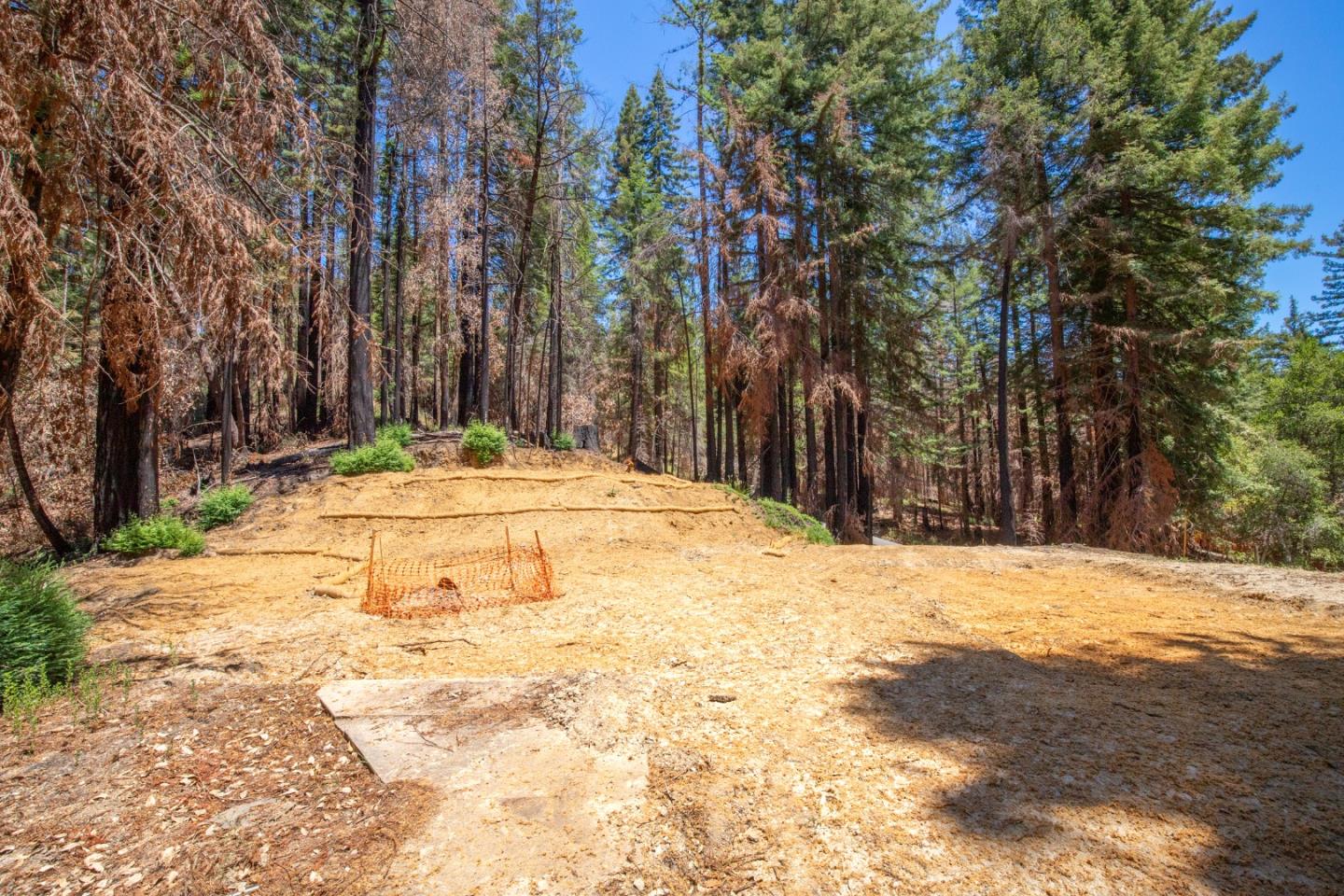 825 Kings Highway, BOULDER CREEK, California 95006, ,Lots And Land,For Sale,Kings Highway,40965112