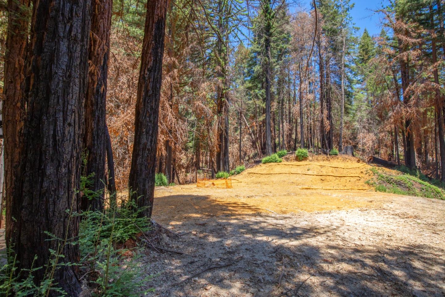 825 Kings Highway, BOULDER CREEK, California 95006, ,Lots And Land,For Sale,Kings Highway,40965112