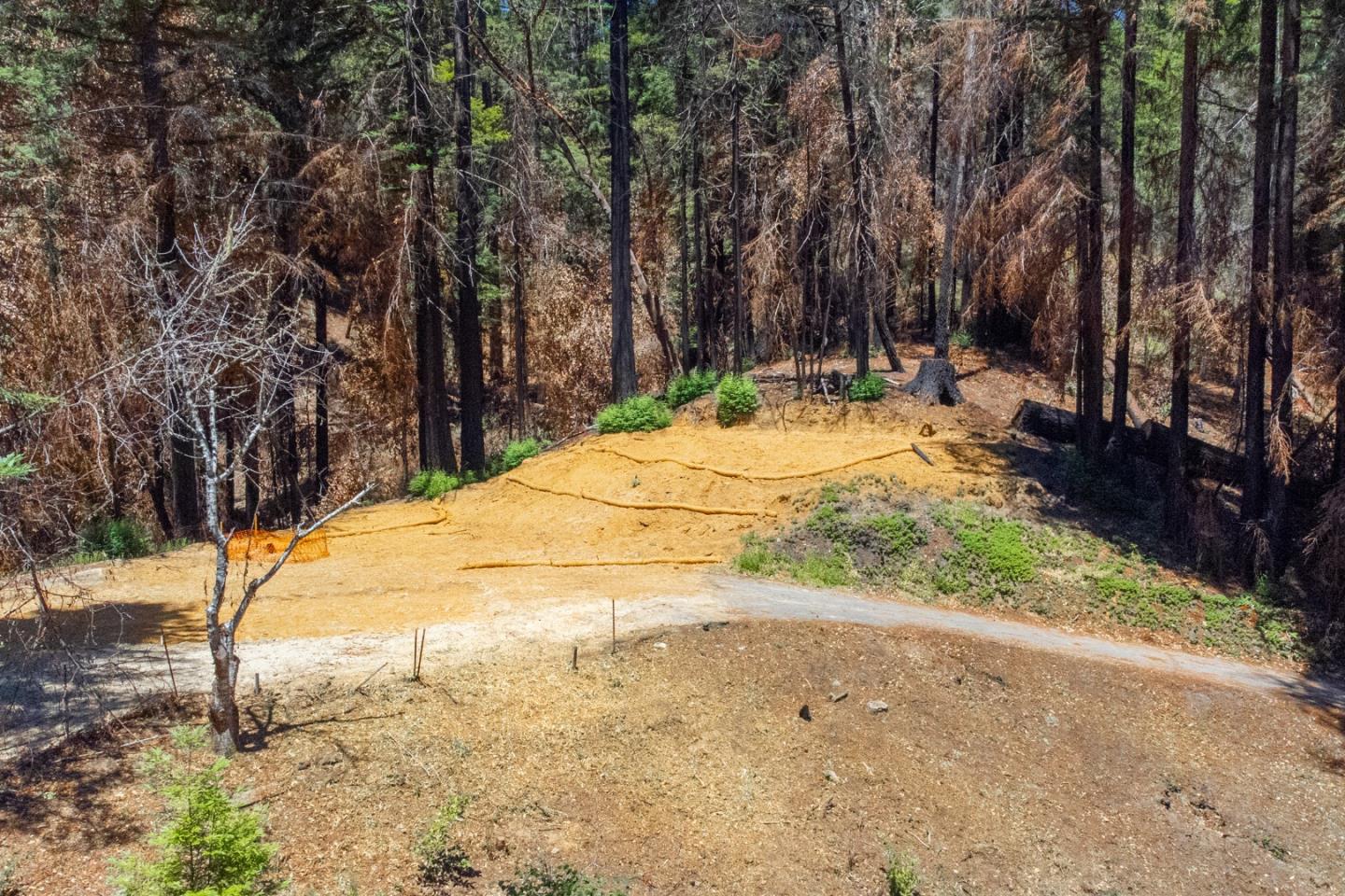 825 Kings Highway, BOULDER CREEK, California 95006, ,Lots And Land,For Sale,Kings Highway,40965112