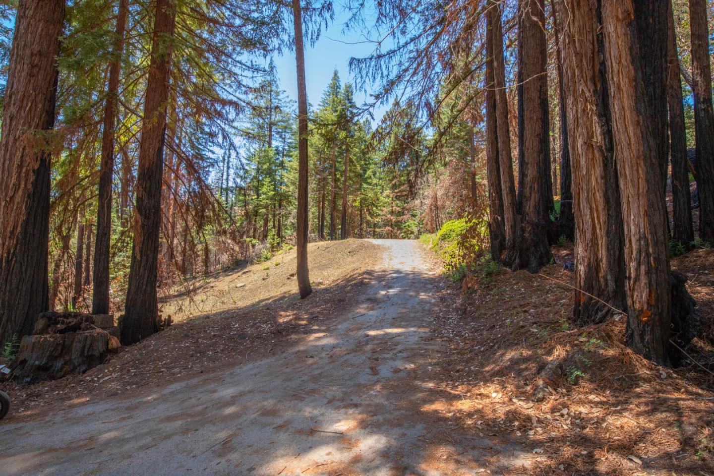 825 Kings Highway, BOULDER CREEK, California 95006, ,Lots And Land,For Sale,Kings Highway,40965112