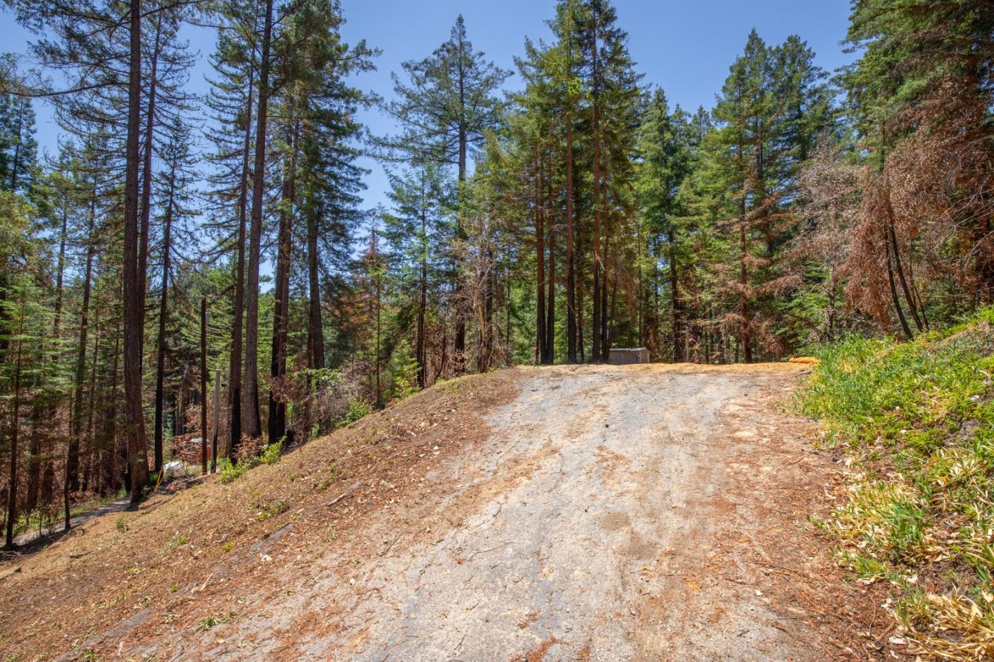 825 Kings Highway, BOULDER CREEK, California 95006, ,Lots And Land,For Sale,Kings Highway,40965112