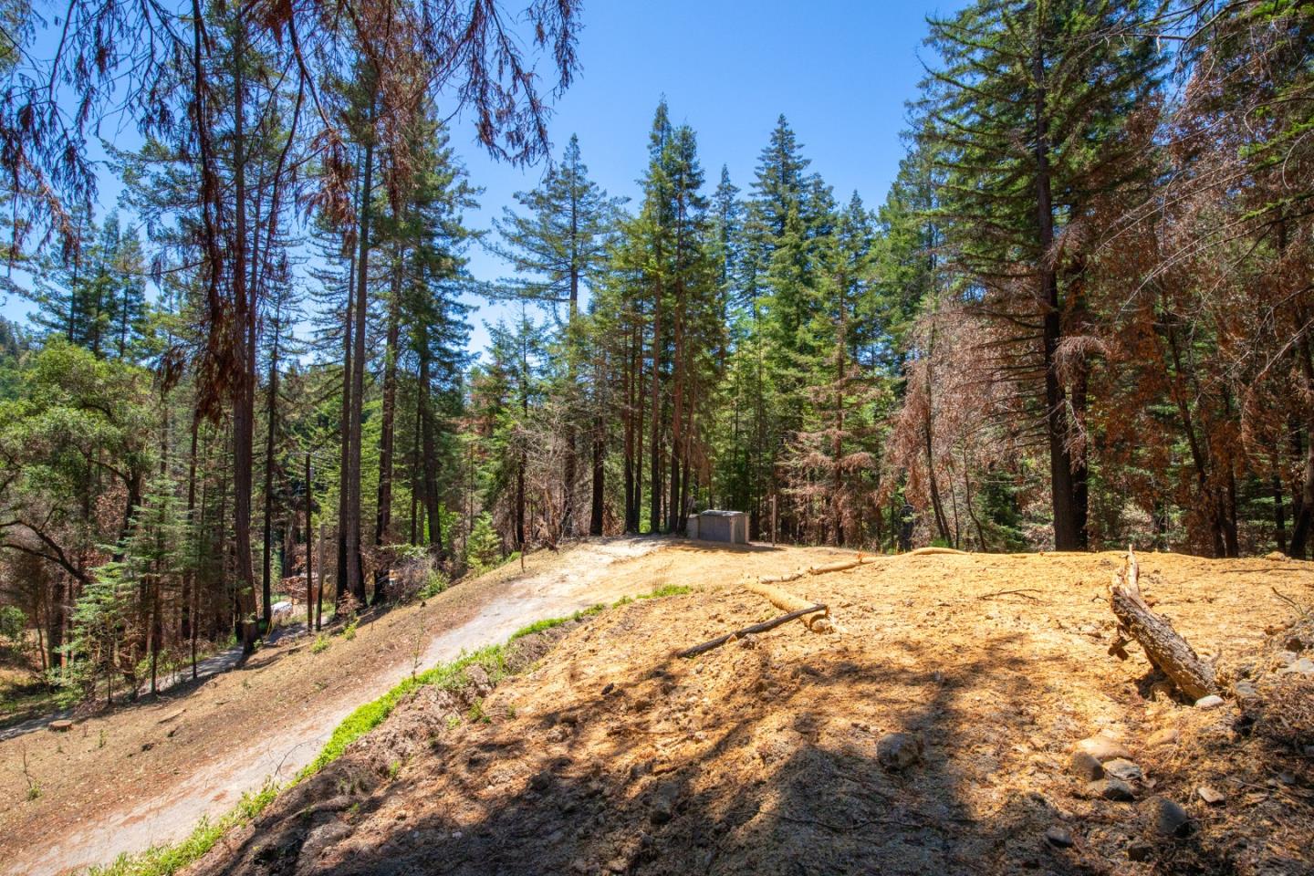 825 Kings Highway, BOULDER CREEK, California 95006, ,Lots And Land,For Sale,Kings Highway,40965112