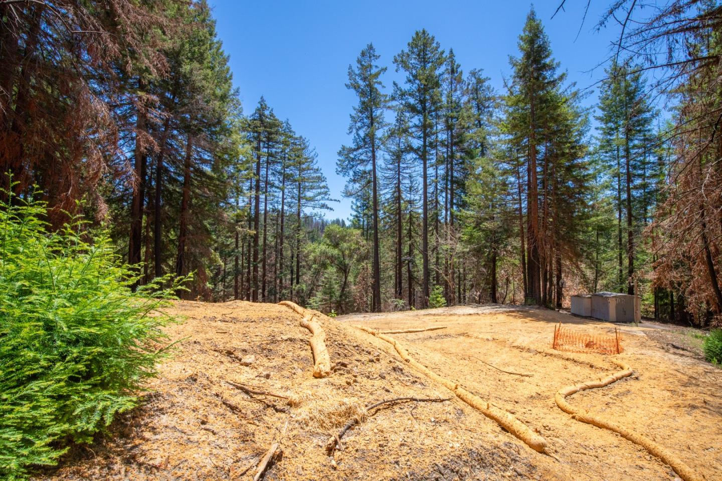 825 Kings Highway, BOULDER CREEK, California 95006, ,Lots And Land,For Sale,Kings Highway,40965112