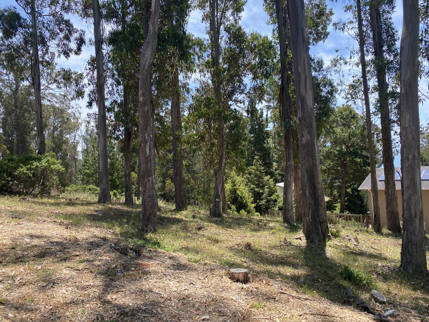 00 El Granada Boulevard, EL GRANADA, California 94018, ,Lots And Land,For Sale,El Granada Boulevard,40965121