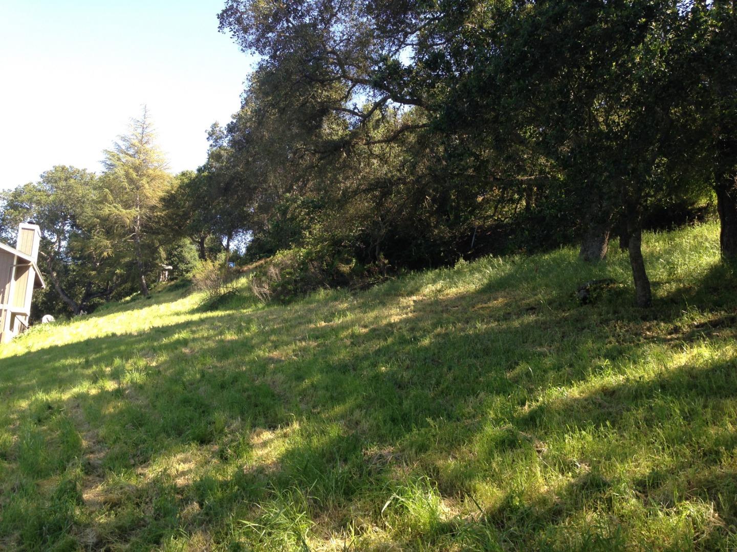 17108 Shady Lane Drive, MORGAN HILL, California 95037, ,Lots And Land,For Sale,Shady Lane Drive,40965128