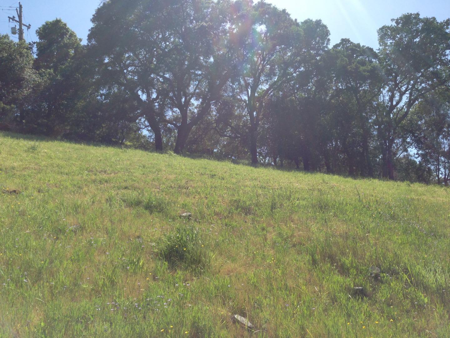 17108 Shady Lane Drive, MORGAN HILL, California 95037, ,Lots And Land,For Sale,Shady Lane Drive,40965128