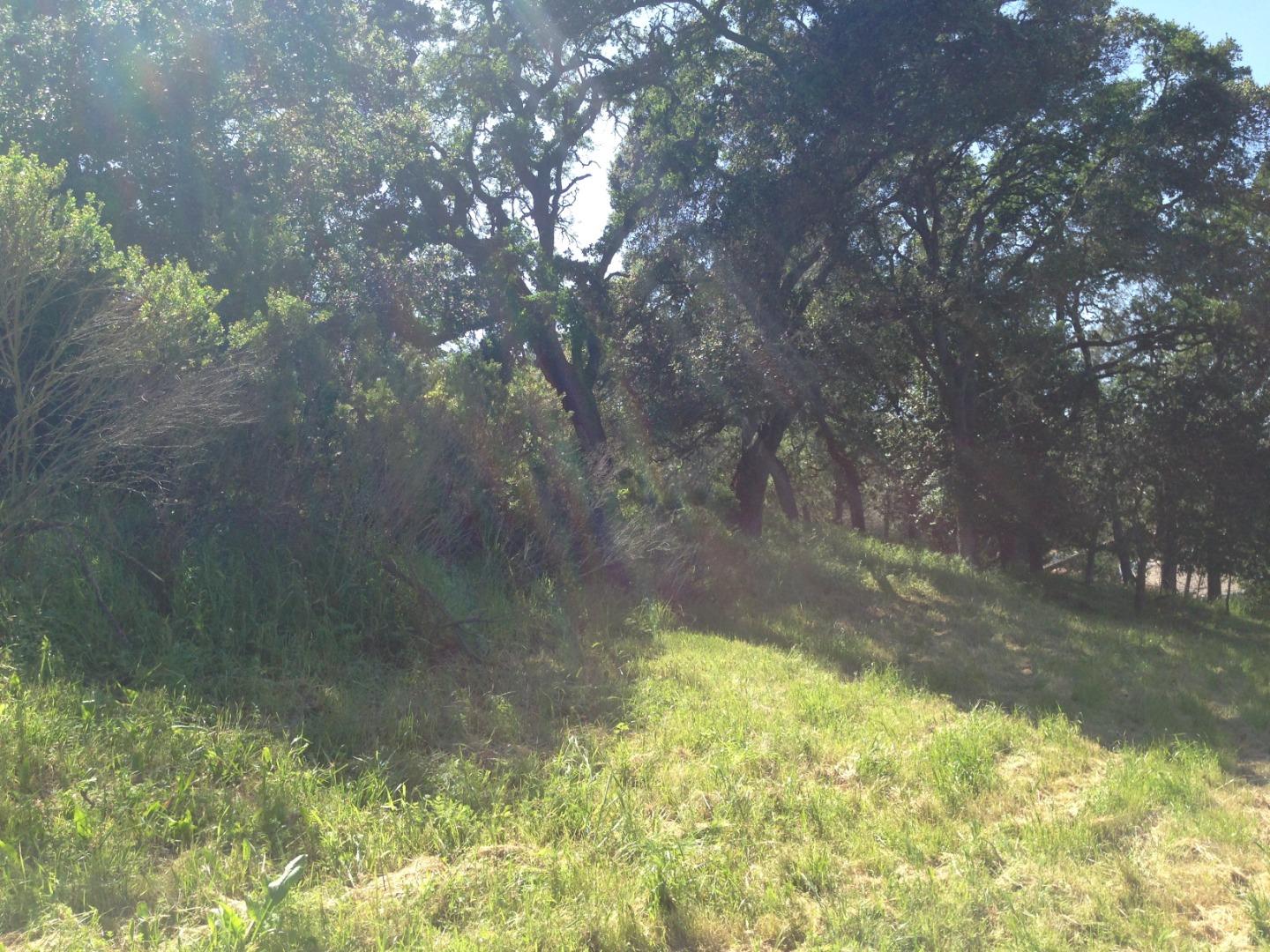 17108 Shady Lane Drive, MORGAN HILL, California 95037, ,Lots And Land,For Sale,Shady Lane Drive,40965128