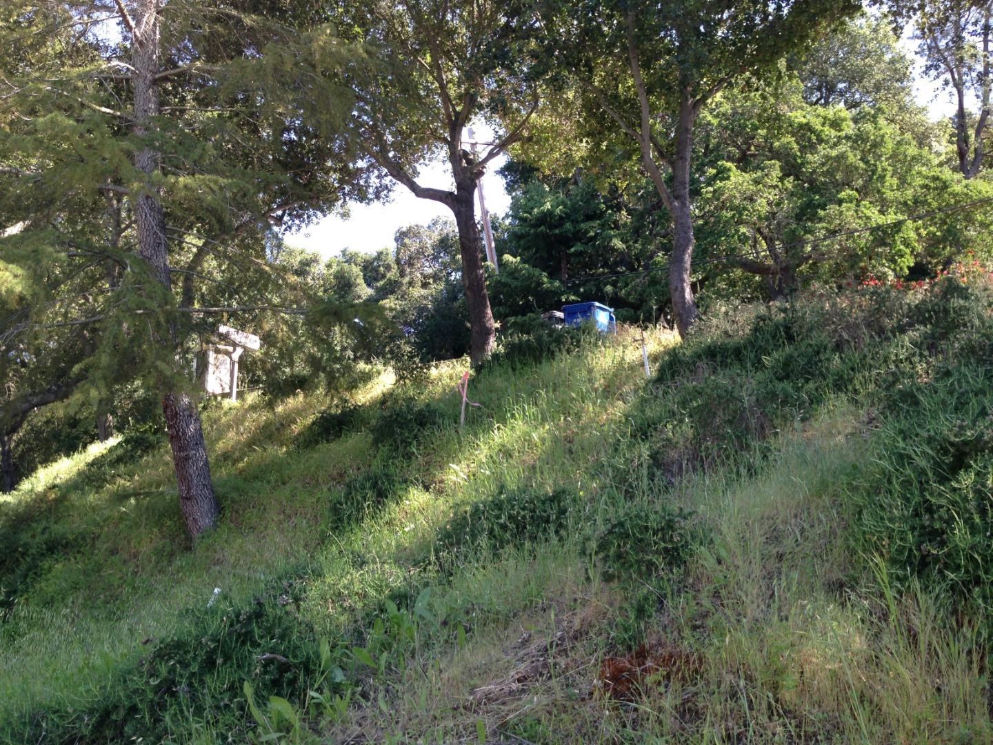 17108 Shady Lane Drive, MORGAN HILL, California 95037, ,Lots And Land,For Sale,Shady Lane Drive,40965128