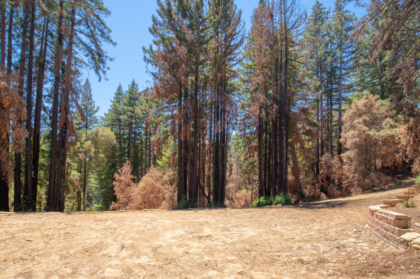 345 Everest Drive, BOULDER CREEK, California 95006, ,Lots And Land,For Sale,Everest Drive,40965131