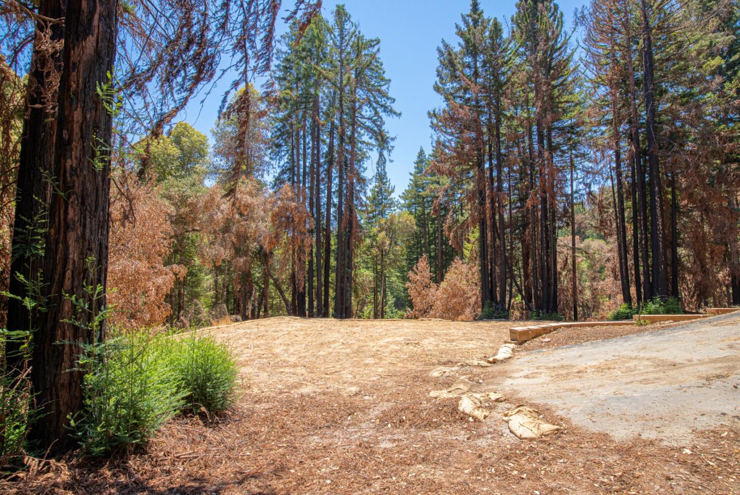 345 Everest Drive, BOULDER CREEK, California 95006, ,Lots And Land,For Sale,Everest Drive,40965131