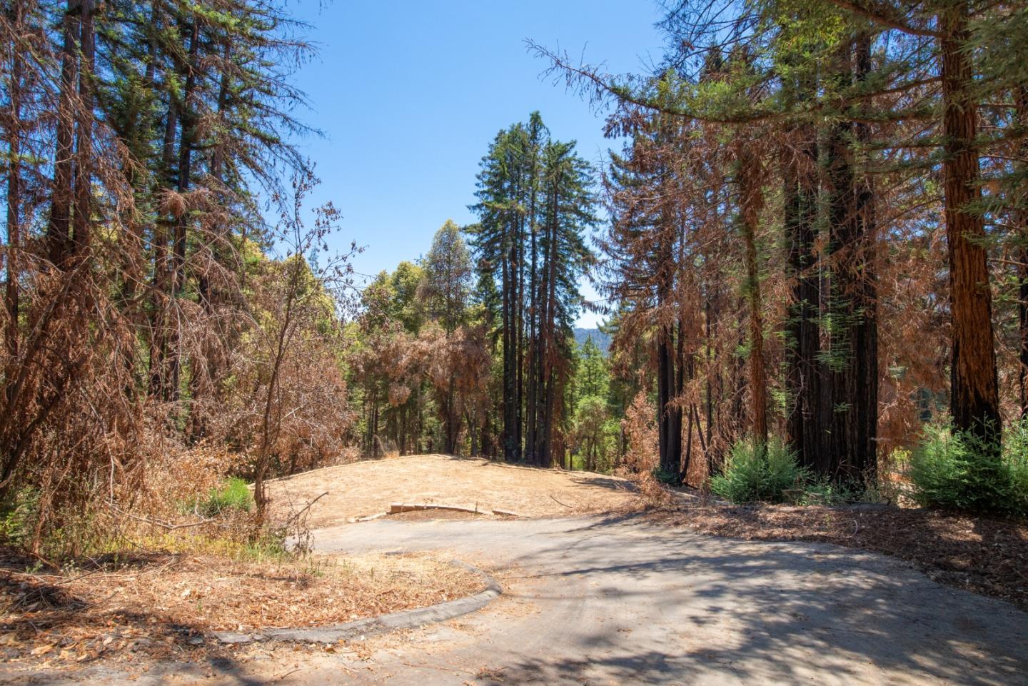345 Everest Drive, BOULDER CREEK, California 95006, ,Lots And Land,For Sale,Everest Drive,40965131
