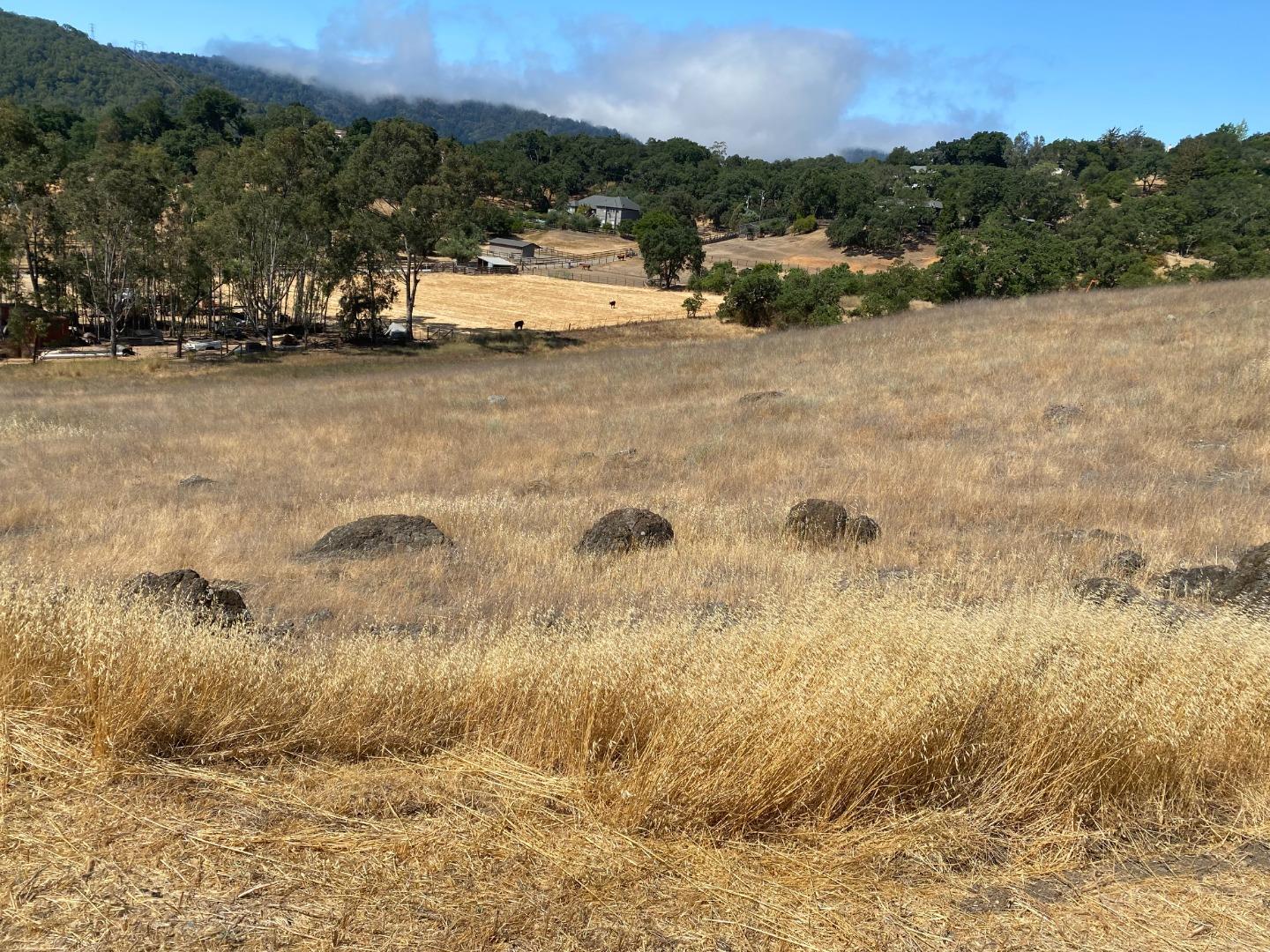 005 Pharmer Road, GILROY, California 95020, ,Lots And Land,For Sale,Pharmer Road,40965139