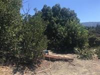 0 Plateau Avenue, LOS ALTOS, California 94024, ,Lots And Land,For Sale,Plateau Avenue,40965141