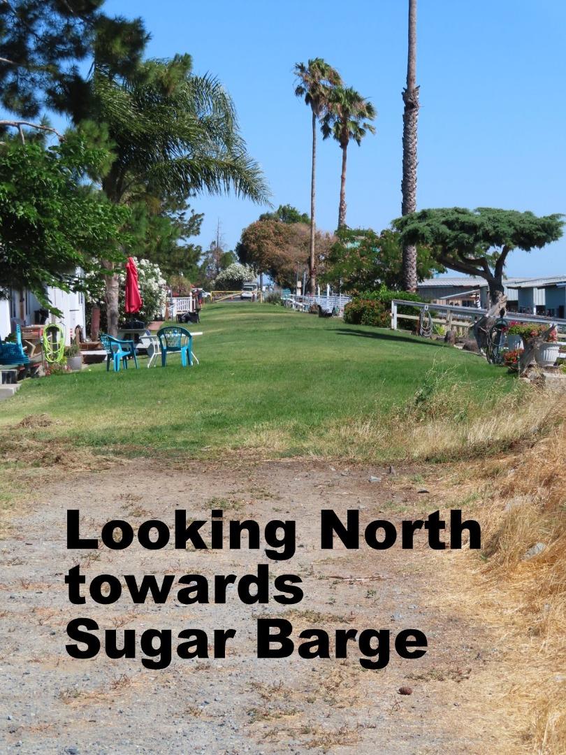 6831 Riverview Road, BETHEL ISLAND, California 94511, ,Lots And Land,For Sale,Riverview Road,40965150