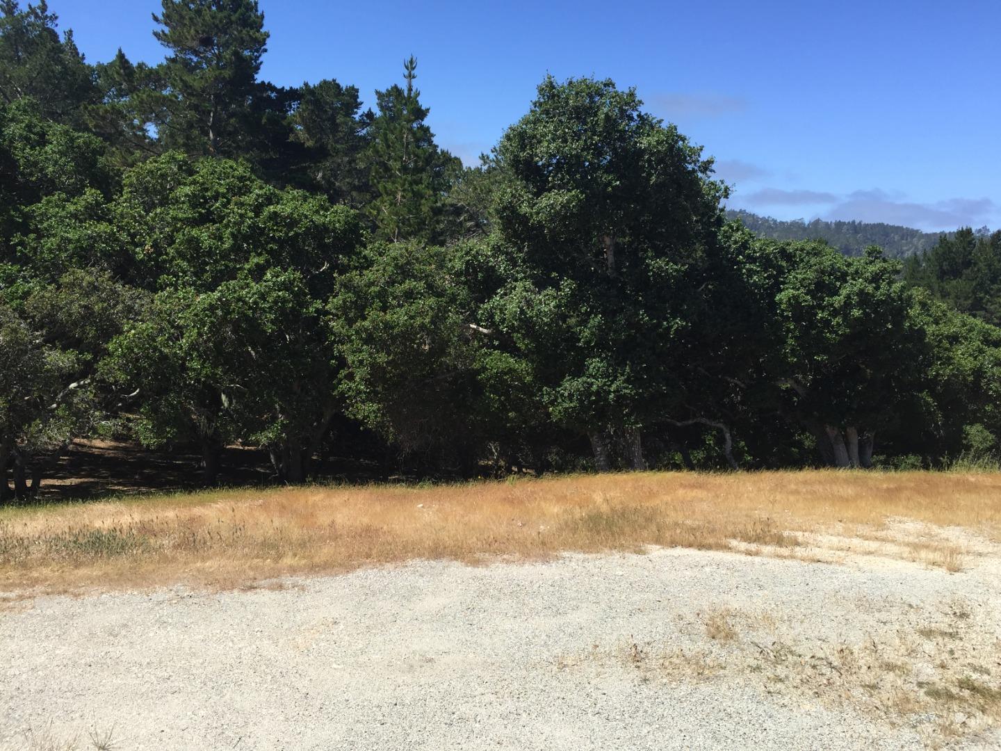 7825 Monterra Oaks (Lot 112) Road, MONTEREY, California 93940, ,Lots And Land,For Sale,Monterra Oaks (Lot 112) Road,40965152