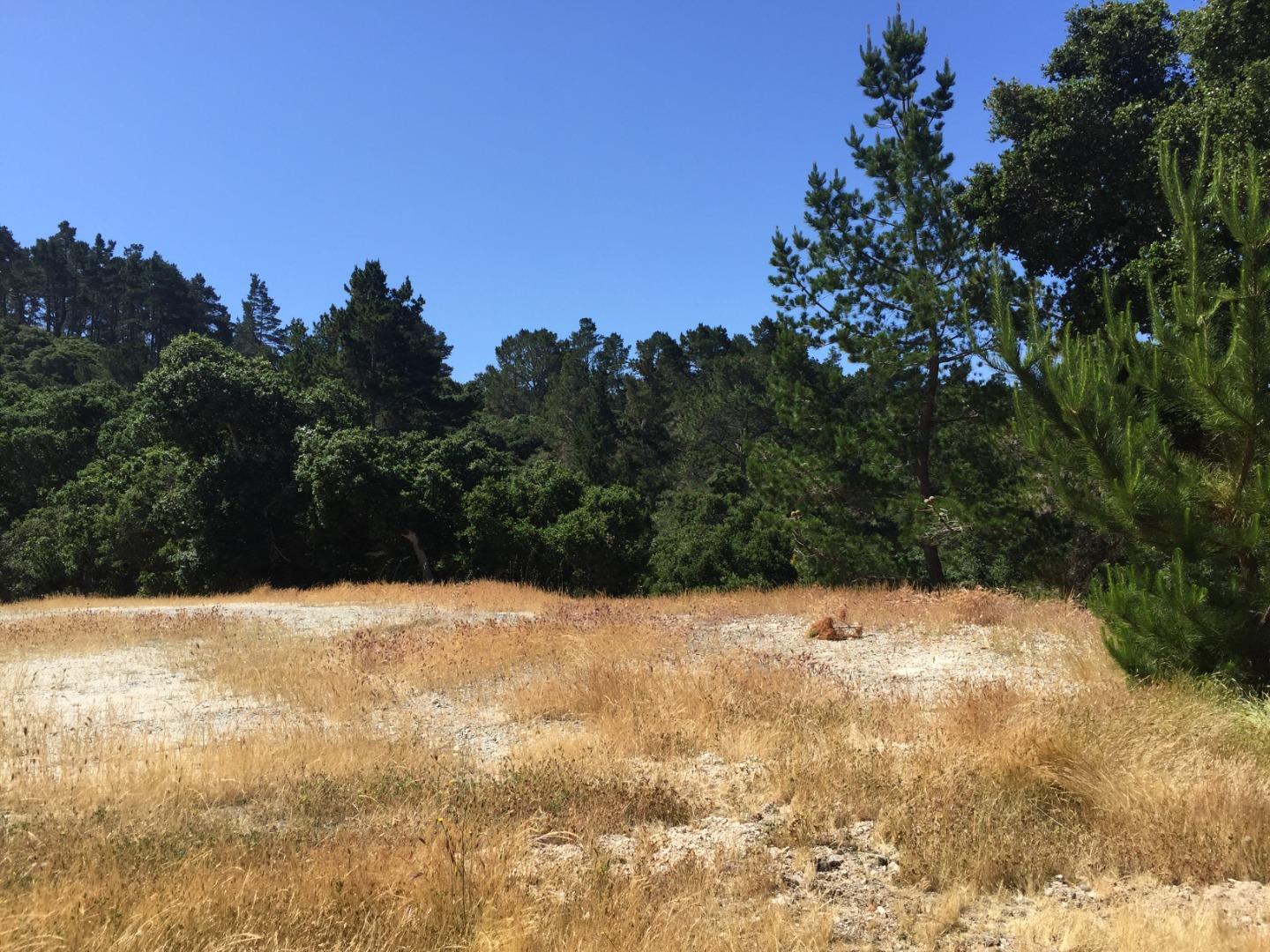 7825 Monterra Oaks (Lot 112) Road, MONTEREY, California 93940, ,Lots And Land,For Sale,Monterra Oaks (Lot 112) Road,40965152