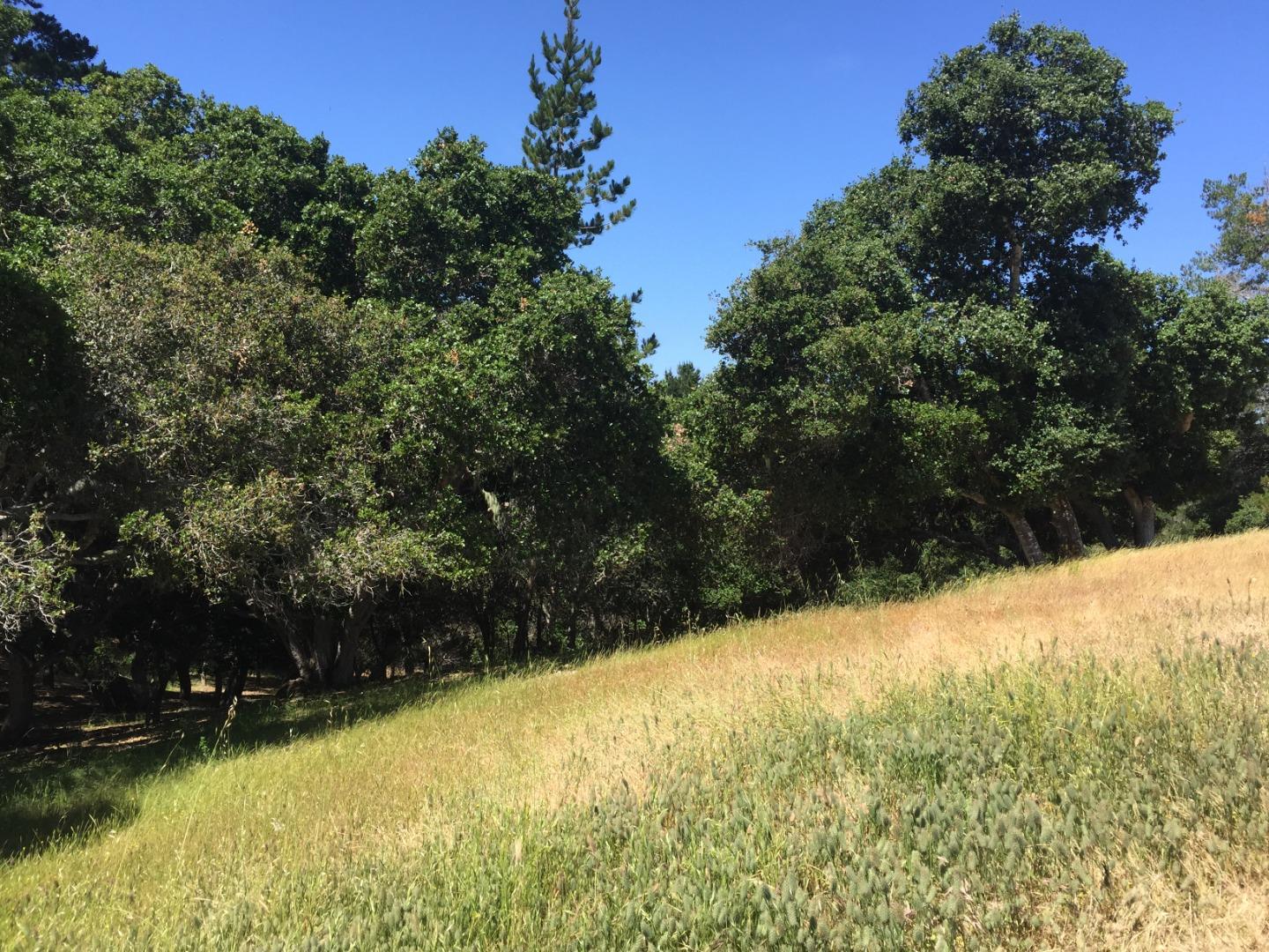 7825 Monterra Oaks (Lot 112) Road, MONTEREY, California 93940, ,Lots And Land,For Sale,Monterra Oaks (Lot 112) Road,40965152