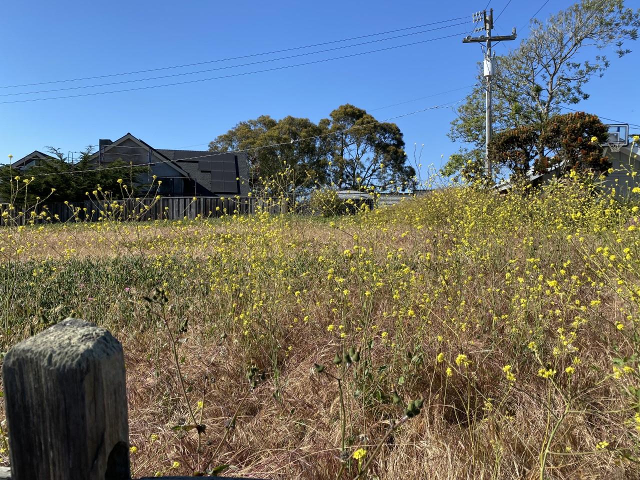 0 Mesa Way, WATSONVILLE, California 95076, ,Lots And Land,For Sale,Mesa Way,40965157