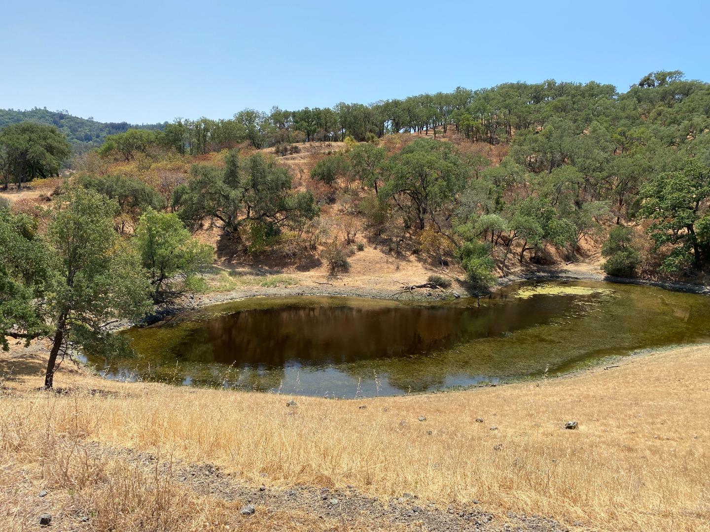 4901 Croy Road, MORGAN HILL, California 95037, ,Lots And Land,For Sale,Croy Road,40965172