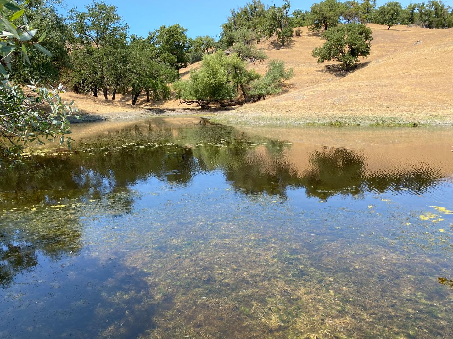 4901 Croy Road, MORGAN HILL, California 95037, ,Lots And Land,For Sale,Croy Road,40965172