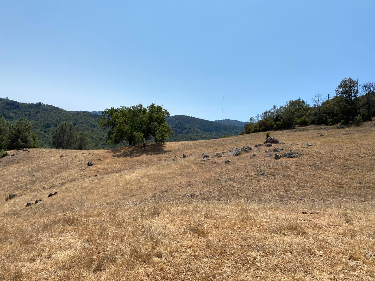 4901 Croy Road, MORGAN HILL, California 95037, ,Lots And Land,For Sale,Croy Road,40965172