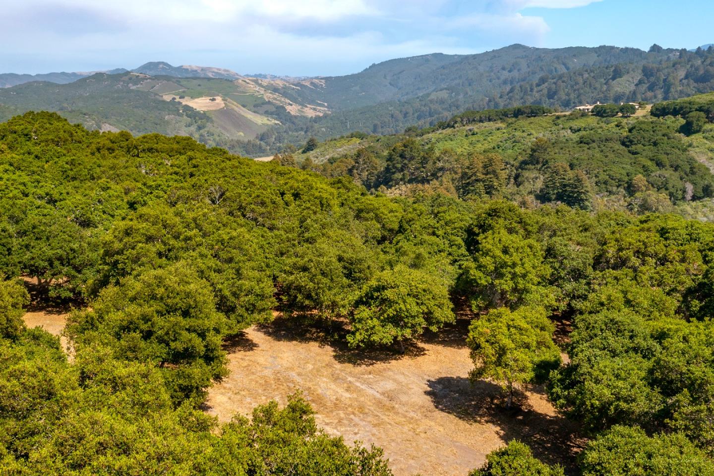 6 Rancho San Carlos Road, CARMEL, California 93923, ,Lots And Land,For Sale,Rancho San Carlos Road,40965174