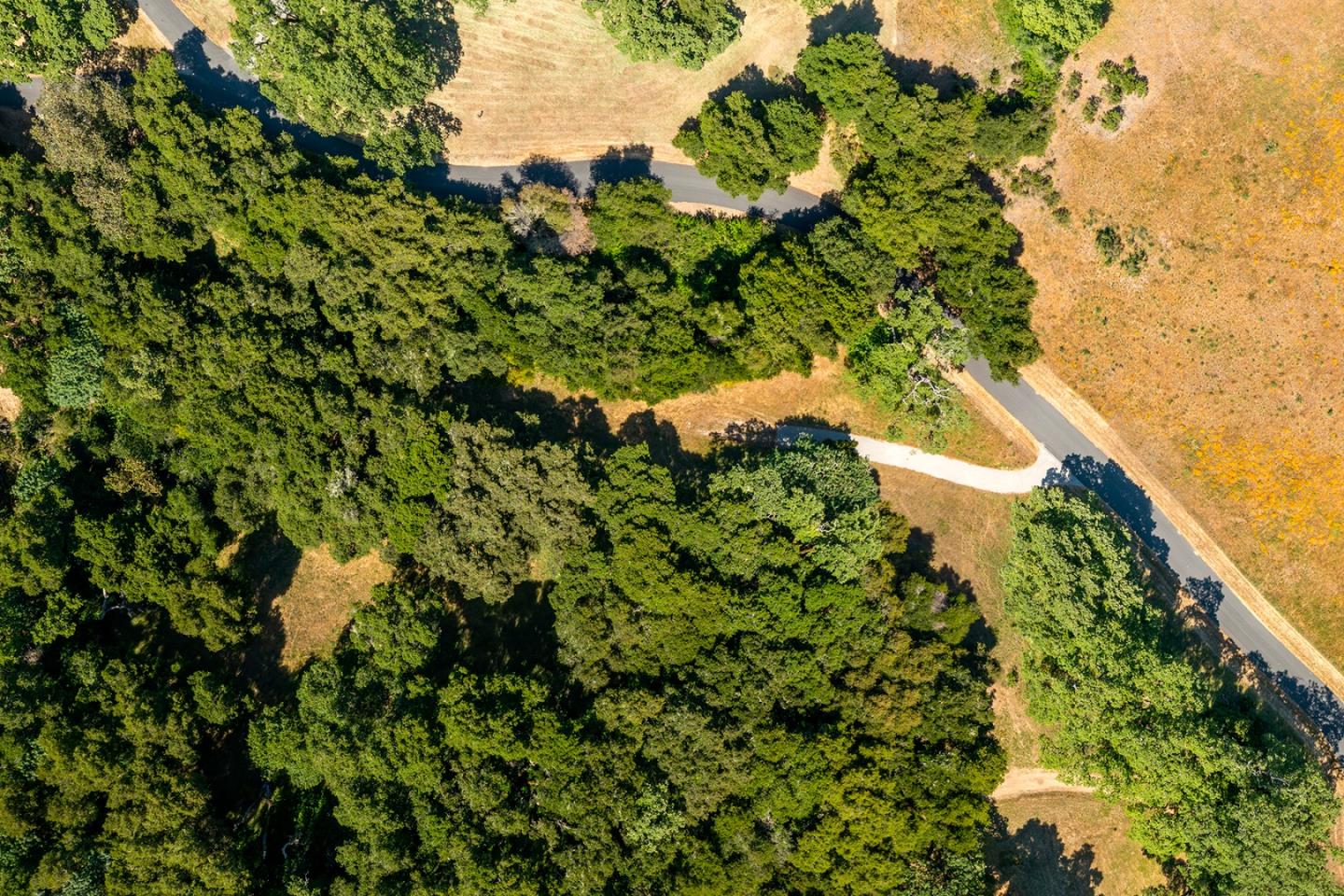 3 Rumsen Trace, CARMEL, California 93923, ,Lots And Land,For Sale,Rumsen Trace,40965175